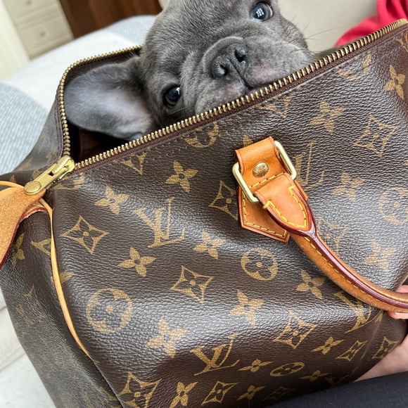 Meet your Posher, Colleen - Picture 1 of 5